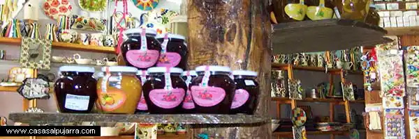 Arquitectura, decoración y construcciones en La Alpujarra