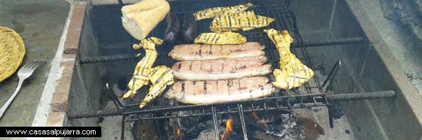 Mi barbacoa Bbq en La Alpujarra