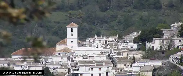 Antonio visita Capileira