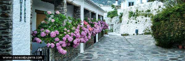 Casas rurales recomendadas en Alpujarra para alquilar