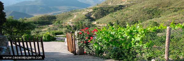 Casas rurales con huerto y jardín en La Alpujarra