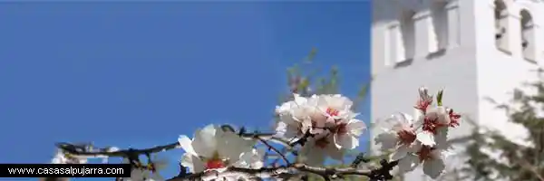 Primavera en La Alpujarra