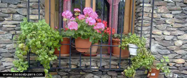Primavera en Alpujarra